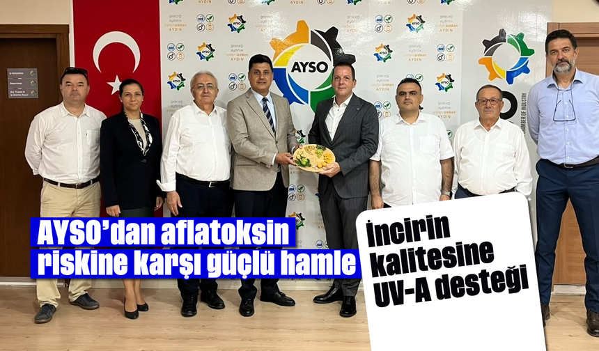 İncirde aflatoksine UV’li önlem