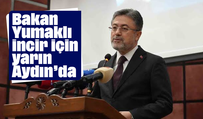 Bakan Yumaklı, incir için yarın Aydın’da