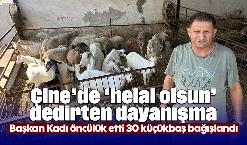 Çine’de ‘helal olsun’ dedirten dayanışma: Başkan Kadı öncülük etti, 30 küçükbaş bağışlandı