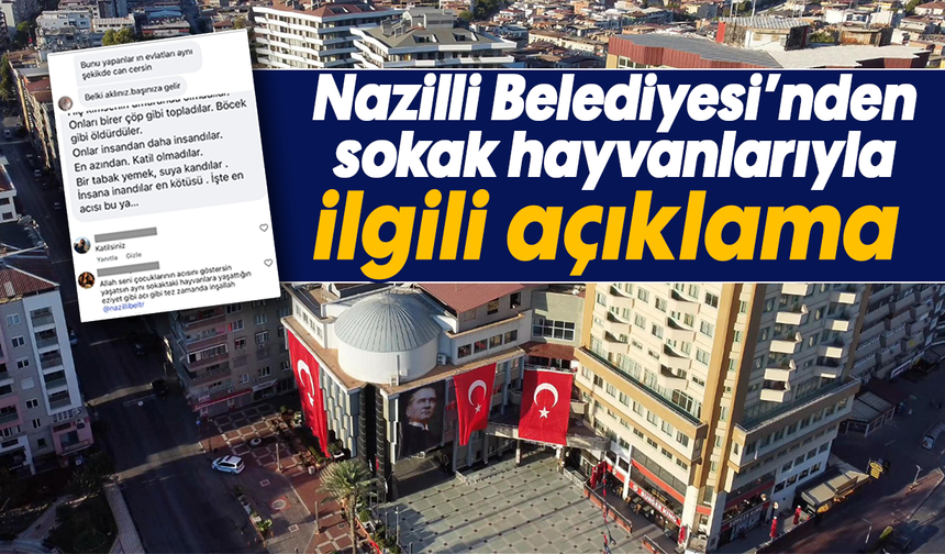 Nazilli Belediyesi’nden sokak hayvanlarıyla ilgili açıklama