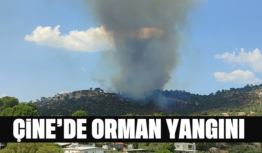 Çine’de orman yangını