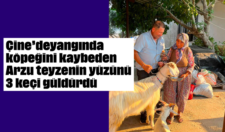 Çine’de yangında köpeğini kaybeden Arzu teyzenin yüzünü 3 keçi güldürdü