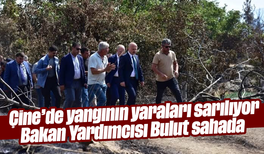 Çine’de yangının yaraları sarılıyor: Bakan Yardımcısı Bulut sahada