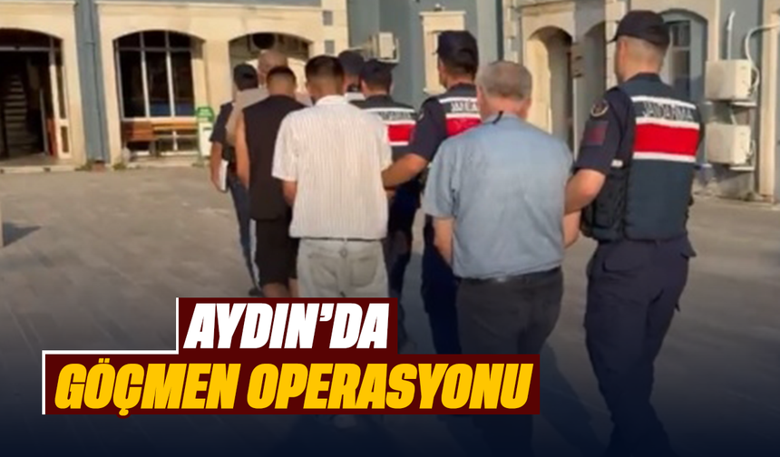 Aydın’da göçmen operasyonu