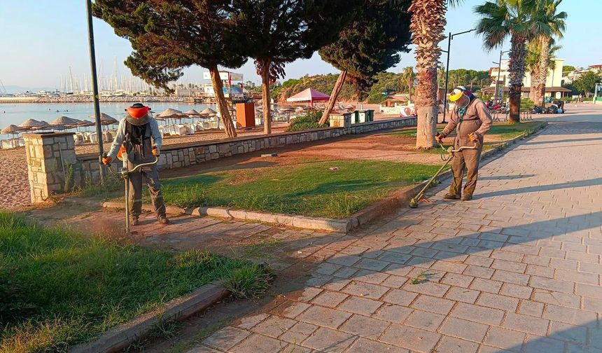 Didim Belediyesi'nden yeşil alanlarda bakım ve düzenleme çalışması