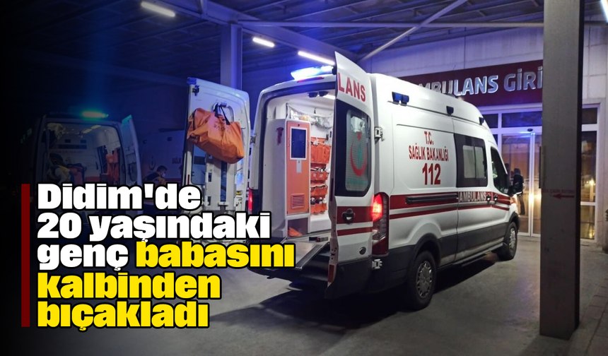 Didim'de 20 yaşındaki genç babasını kalbinden bıçakladı