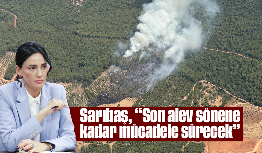 Sarıbaş, “Son alev sönene kadar mücadele sürecek”