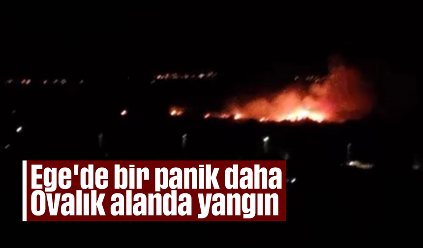 Ege'de bir panik daha: Ovalık alanda yangın