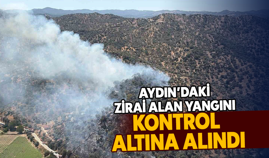 Aydın’daki zirai alan yangını kontrol altına alındı