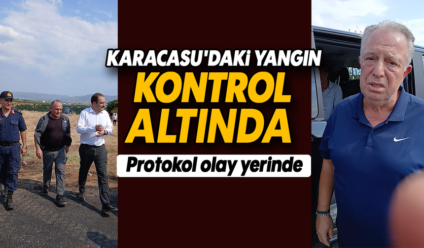 Karacasu'daki yangın kontrol altında:Protokol olay yerinde