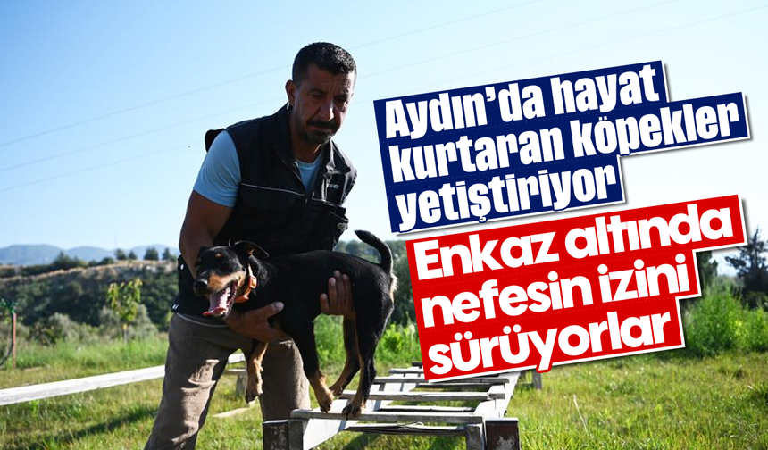 Aydın’da hayat kurtaran köpekler yetiştiriyor: Enkaz altında nefesin izini sürüyorlar