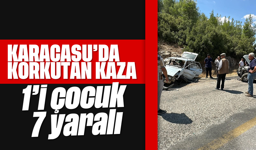 Karacasu'da korkutan kaza: 1'i çocuk 7 yaralı