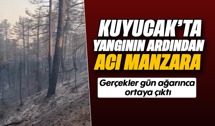 Kuyucak’ta yangının ardından acı manzara : Gerçekler gün ağarınca ortaya çıktı