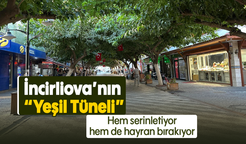 İncirliova’nın “Yeşil Tüneli”: Hem serinletiyor, hem de hayran bırakıyor