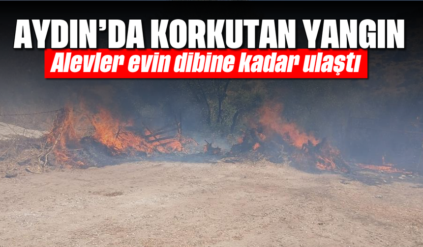 Aydın'da korkutan yangın: Alevler evin dibine kadar ulaştı