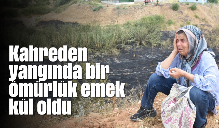 Karacasu'daki yangında bir ömürlük emek kül oldu