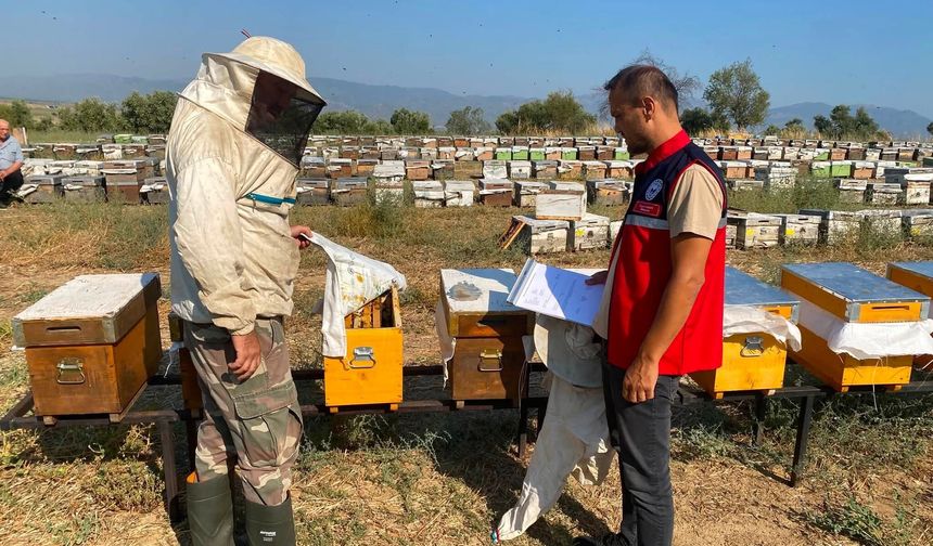Kayıtlı her kovan üretime katkı sağlıyor: Nazilli’de arıcılara destek