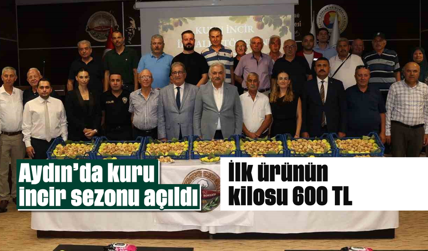 Aydın’da kuru incir sezonu açıldı: İlk ürünün kilosu belli oldu