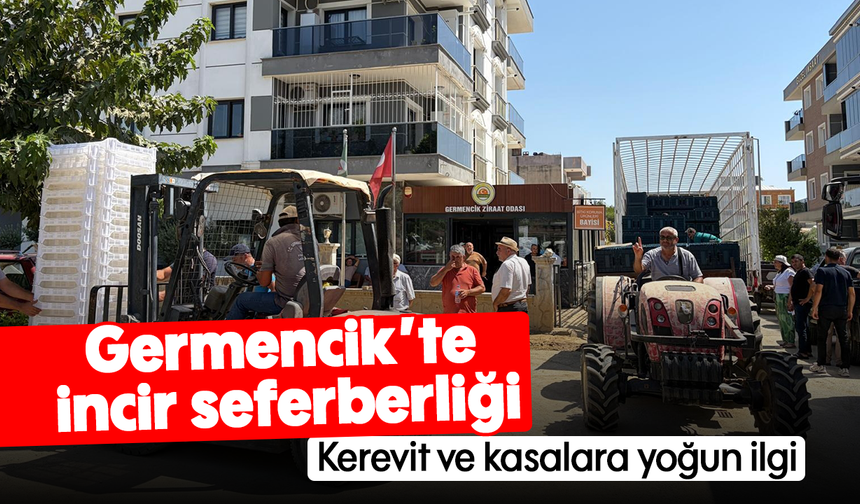 Germencik’te incir seferberliği: Kerevit ve kasalara yoğun ilgi