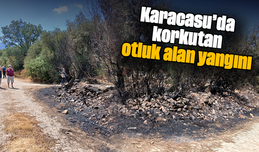 Karacasu’da korkutan otluk alan yangını