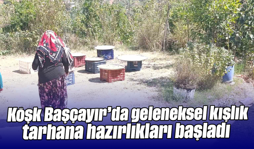 Köşk Başçayır’da geleneksel kışlık tarhana hazırlıkları başladı