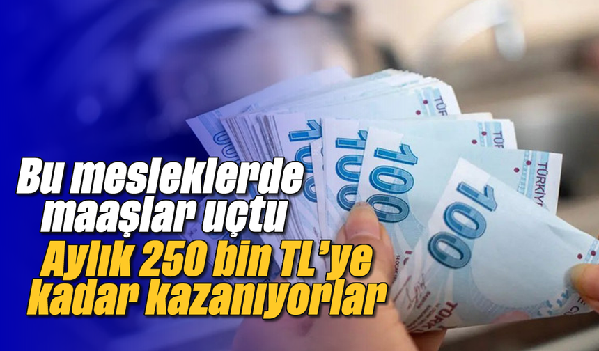 Bu mesleklerde maaşlar uçtu: Aylık 250 bin TL’ye kadar kazanıyorlar