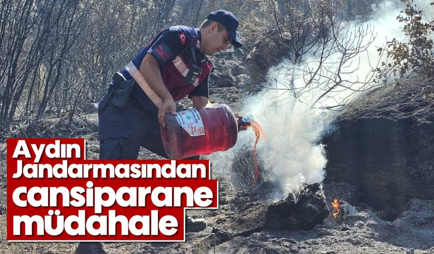 Aydın Jandarmasından cansiparane müdahale