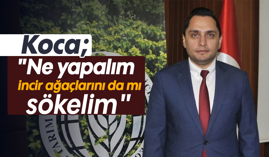 Koca, "Ne yapalım incir ağaçlarını da mı sökelim"