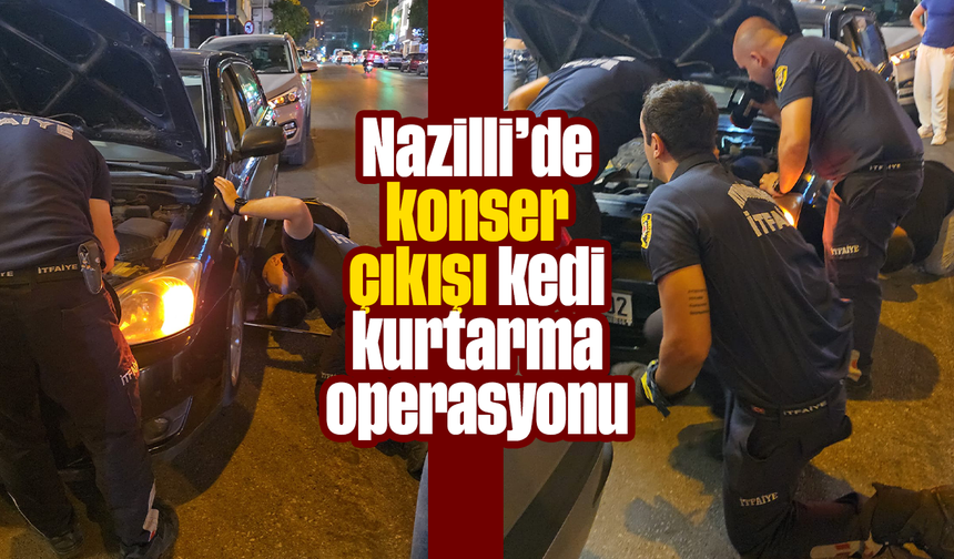 Nazilli’de konser çıkışı kedi kurtarma operasyonu