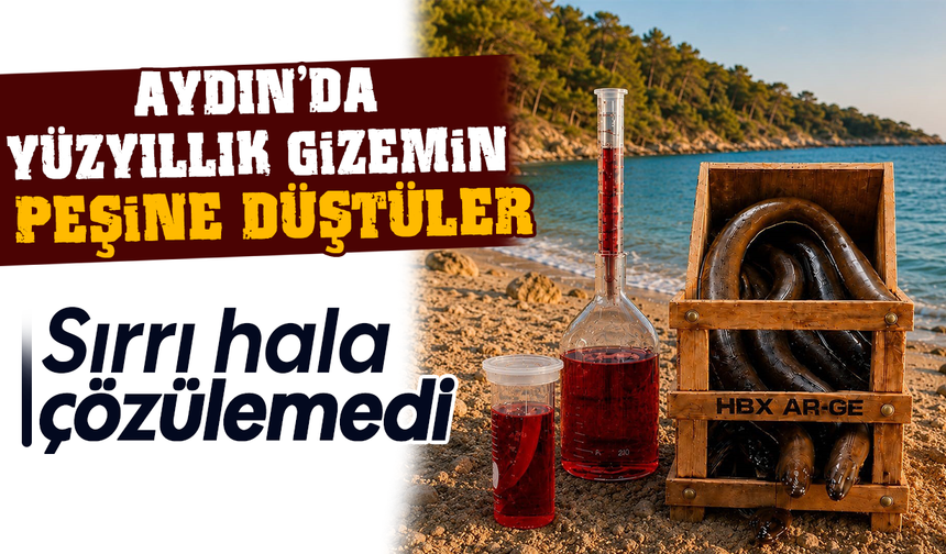 Aydın’da yüzyıllık gizemin peşine düştüler: Sırrı hala çözülemedi