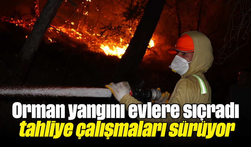 Orman yangını evlere sıçradı, tahliye çalışmaları sürüyor
