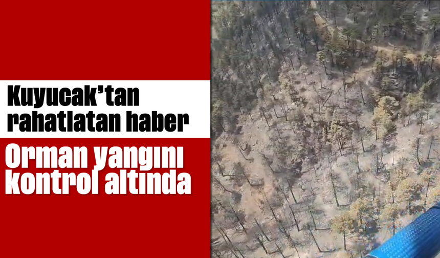 Kuyucak’tan rahatlatan haber: Orman yangını kontrol altında