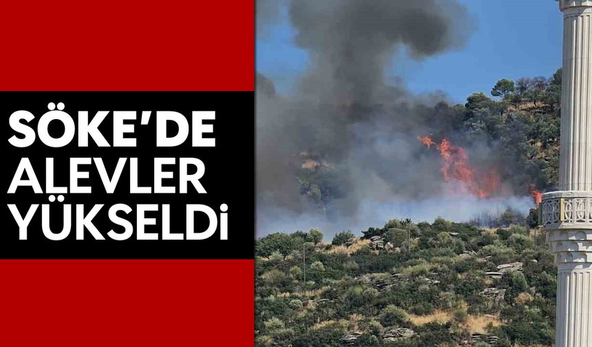 Söke'de alevler yükseldi