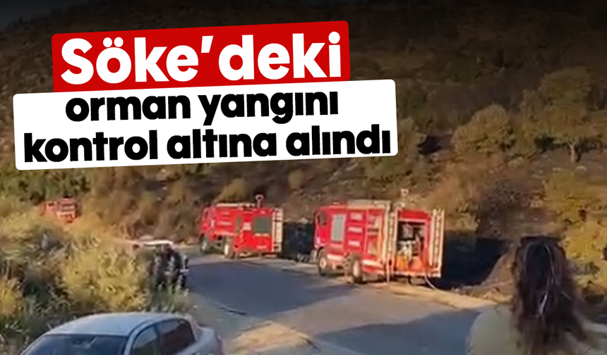 Söke’deki orman yangını kontrol altına alındı