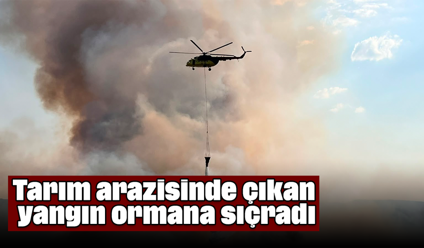 Tarım arazisinde çıkan yangın ormana sıçradı