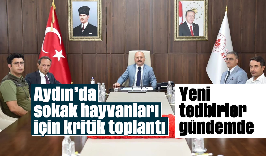 Aydın'da sokak hayvanları için kritik toplantı: Yeni tedbirler gündemde
