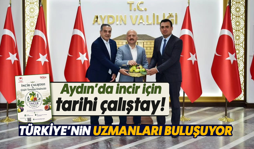 Aydın’da incir için tarihi çalıştay! Türkiye’nin uzmanları buluşuyor