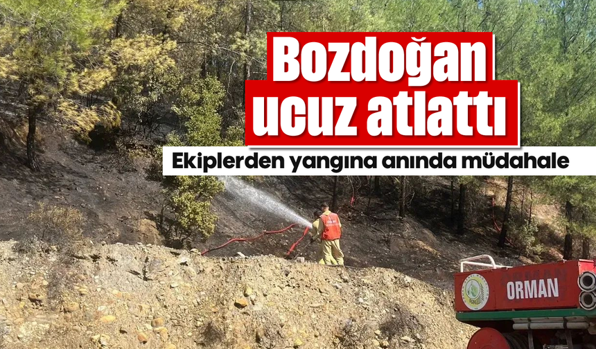 Bozdoğan ucuz atlattı: Ekiplerden yangına anında müdahale