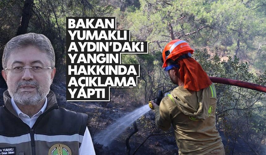 Bakan Yumaklı Aydın'daki yangının son durumunu duyurdu