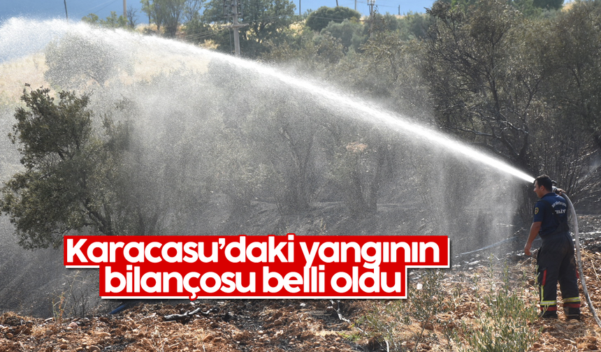 Karacasu'daki yangının bilançosu belli oldu