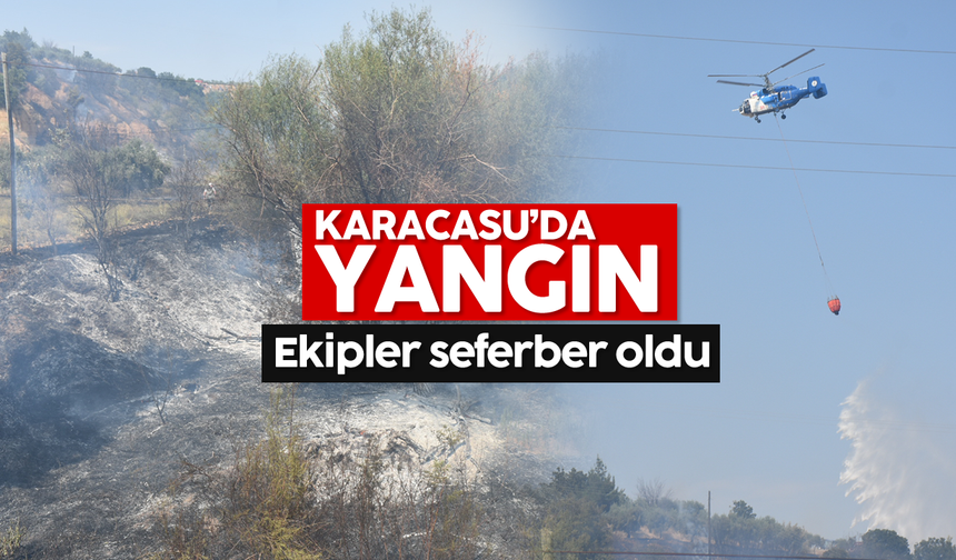 Karacasu'da yangın! Ekipler seferber oldu