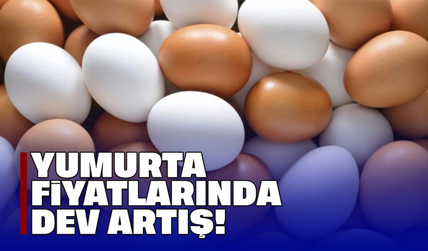 Yumurta fiyatlarında dev artış!