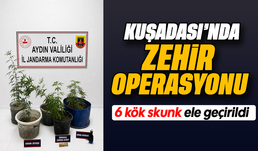 Kuşadası’nda zehir operasyonu: 6 kök skunk ele geçirildi