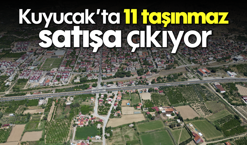 Kuyucak'ta 11 taşınmaz satışa çıkıyor