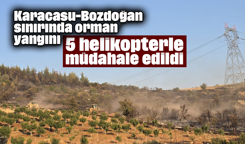 Karacasu - Bozdoğan sınırında orman yangını: 5 helikopterle müdahale edildi