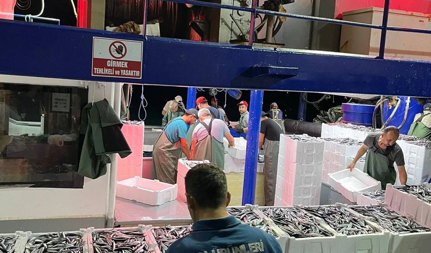 Didim'de 'Hamsi Kotası' denetimi yapıldı