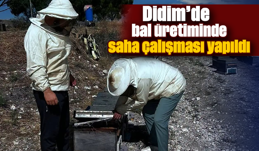 Didim’de bal üretiminde saha çalışması yapıldı