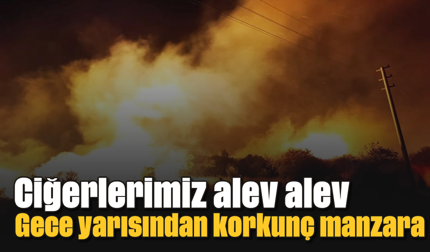 Ciğerlerimiz alev alev: Gece yarısından korkunç manzara