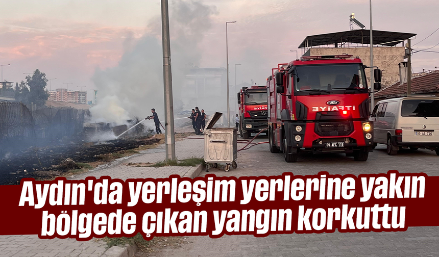 Aydın'da yerleşim yerlerine yakın bölgede çıkan yangın korkuttu
