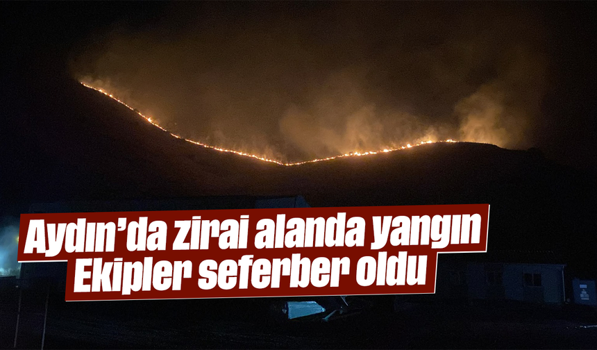 Aydın’da zirai alanda yangın: Ekipler seferber oldu